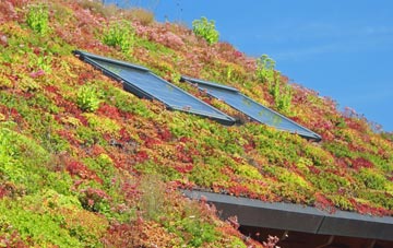 Ascot living roof systems
